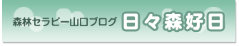 森林セラピーガイドブログ日々森好日