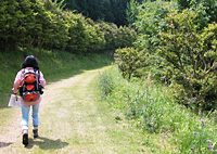 森林セラピー山口散策路