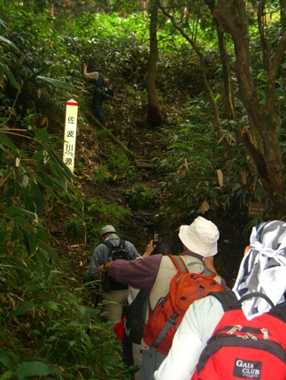 佐波川源流に到着