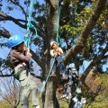 秋の森林セラピー体験イベント　森と遊ぼう〜木登り体験〜