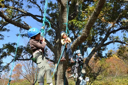 子ども木登り体験