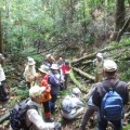 秋の森林セラピー体験イベント　滑峡で自然観察