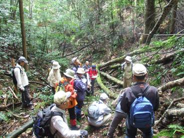 滑峡の植生の説明を受ける