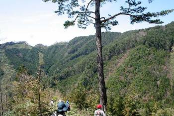 植林地に向けて降りる