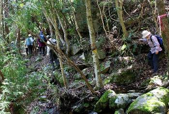 もうすぐ登山口