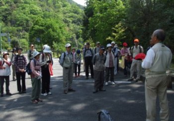 森の案内人から森林の持つ癒し効果の説明