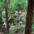 森の案内人と歩く　〜雀谷山トレッキング〜