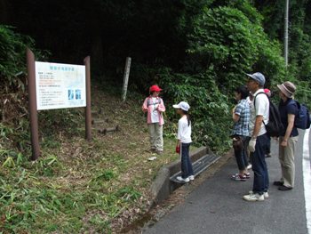 観音の滝遊歩道入り口の案内看板