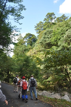 モミ林から大原湖キャンプ場までのルート