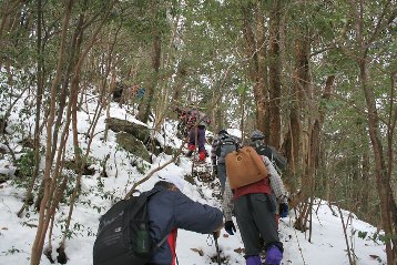 雪をかぶった滑りやすいアップダウンの登山道