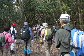 登山道