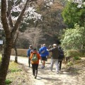 森林セラピー体験イベント 〜徳地の森を歩いて健康になろう〜