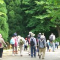 森林セラピー体験イベント　〜徳地の森を歩いて健康になろう〜