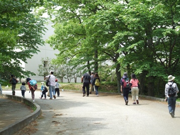 木漏れ日の中の散策