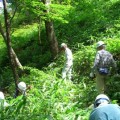 森林セラピーイベント　〜滑マツの下草刈り体験と飯ヶ岳登山〜