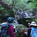 森の案内人と歩く 〜飯ヶ岳（沢コース）トレッキング〜