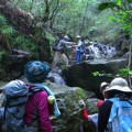 森の案内人と歩く 〜飯ヶ岳（沢コース）トレッキング〜