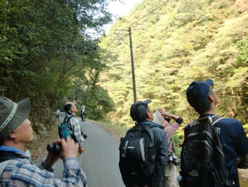 滑川沿いの林道