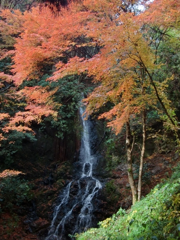 紅葉の天神の滝