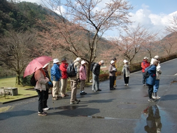 大原湖の桜横に集合