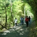 森林セラピー体験イベント「森で歩こう　～ノルディックウォーキング体験～｣