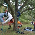 森林セラピー体験イベント「森と遊ぼう　～木登り体験～｣