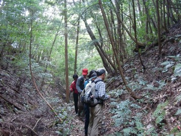 緩やかな上りの道を、ゆっくりと自然を楽しみながら進む