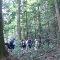 森の案内人と歩く　～セラピーロード自然観察～
