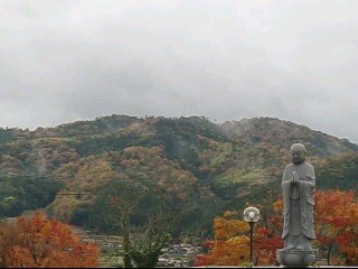 紅葉に染まる徳地