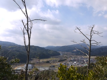 木々の間から開けた景色