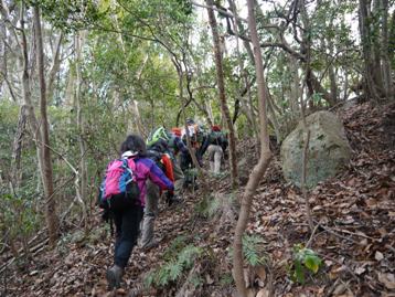 要害岳登山道を歩く