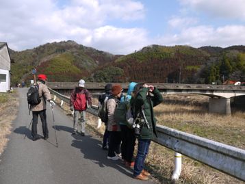 島地川沿いを歩く