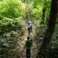 森の案内人と歩く～飯ヶ岳トレッキング～