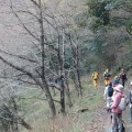 【受付終了】森の案内人と歩く～飯ヶ岳トレッキング～