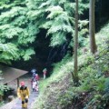 森の案内人と歩く〜セラピーロード自然観察〜（6月9日）