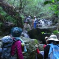 森の案内人と歩く～飯ヶ岳トレッキング（沢コース）～（中止）