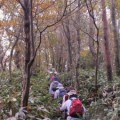 森の案内人と歩く～飯ヶ岳トレッキング～（受付終了）