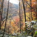 森の案内人と歩く〜飯ヶ岳トレッキング〜（11月24日）