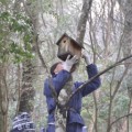 鳥の巣箱作りと野鳥の観察（1月12日）