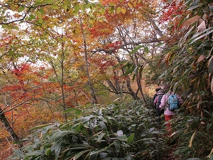 森林セラピー基地の最深部、飯ヶ岳に登ります