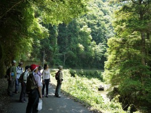 滑峡沿い