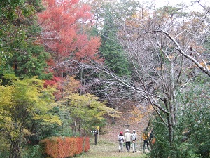 差し替え　サイズ変更済み